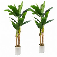 Faux Banana Trees, 2-Pack, 72 in, Indoor Décor Faux Banana Trees, 2-Pack, 72 in, Indoor Décor