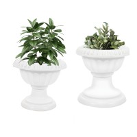 2-Pack Hanging Planters with Self-Watering System – Clear PET Hanging Flower Pots with Chains, Indoor/Outdoor Plastic Planters with Drainage Holes and Cotton Rope, 4.45" Diameter 2-Pack Hanging Planters with Self-Watering System – Clear PET Hanging Flower Pots with Chains, Indoor/Outdoor Plastic Planters with Drainage Holes and Cotton Rope, 4.45" Diameter