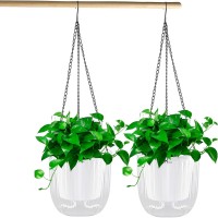 2 Pack Self-Watering Hanging Planters, Clear Plastic Indoor Outdoor Flower Pots with Drainage Holes 4.5” Round Plant Baskets with Metal Hanging Chains – Ideal for Houseplants, Herbs, and Flowers 2 Pack Self-Watering Hanging Planters, Clear Plastic Indoor Outdoor Flower Pots with Drainage Holes 4.5” Round Plant Baskets with Metal Hanging Chains – Ideal for Houseplants, Herbs, and Flowers